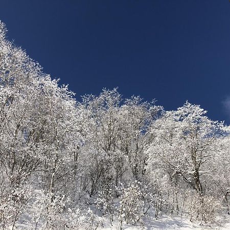 上高地ホテル 松本市 エクステリア 写真