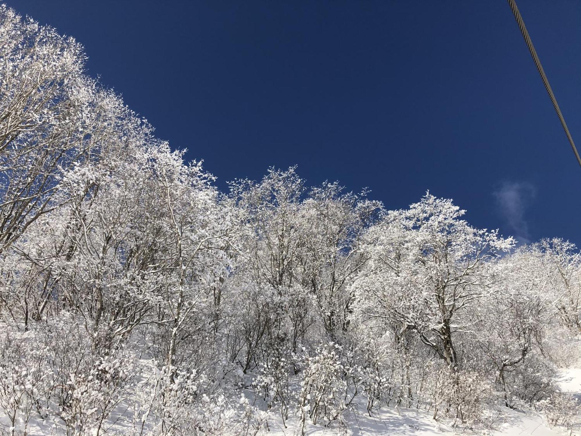 上高地ホテル 松本市 エクステリア 写真
